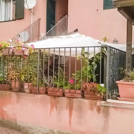 With Terrace Appartement *