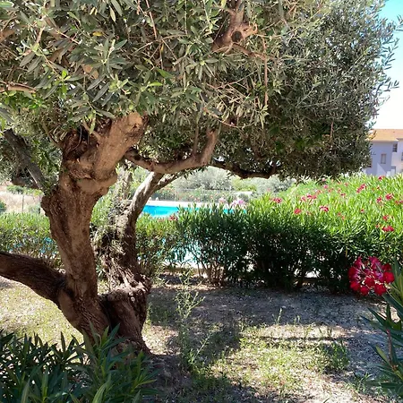 - Sleeps 3 & Swimming Pool Апартаменты Реальмонте